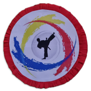 Πινιάτα Τάε Κβο Ντο (Tae Kwon Do)